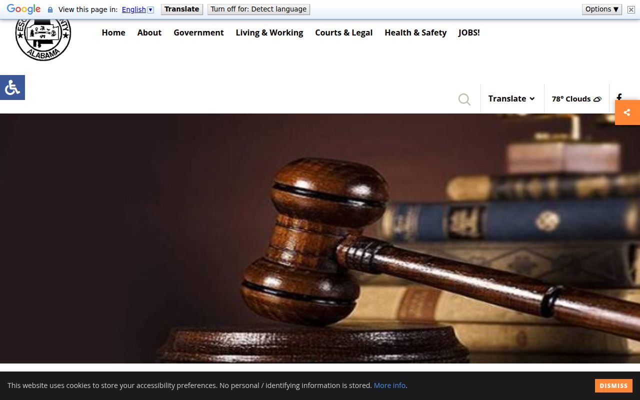 Escambia County Probate Court online records search portal